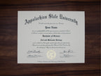 PRECISE MATCH COLLEGE OR UNIVERSITY DIPLOMAS