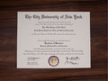 PRECISE MATCH COLLEGE OR UNIVERSITY DIPLOMAS