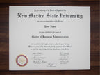 PRECISE MATCH COLLEGE OR UNIVERSITY DIPLOMAS